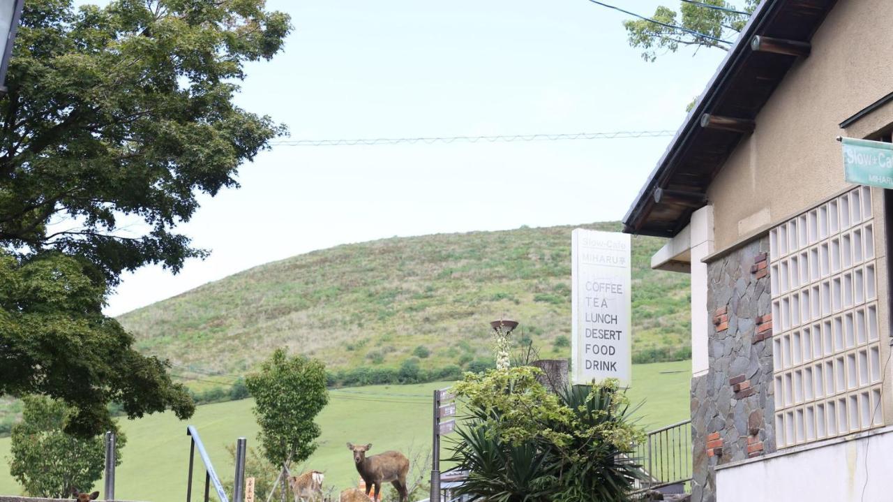 Mountain Home Lodge In Deer Park Нара Екстериор снимка